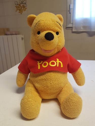 Winnie the pooh - winnie,
